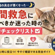 猫の夜間救急に行くべきか迷った時の判断チェックリスト｜獣医師監修・症状別に徹底解説