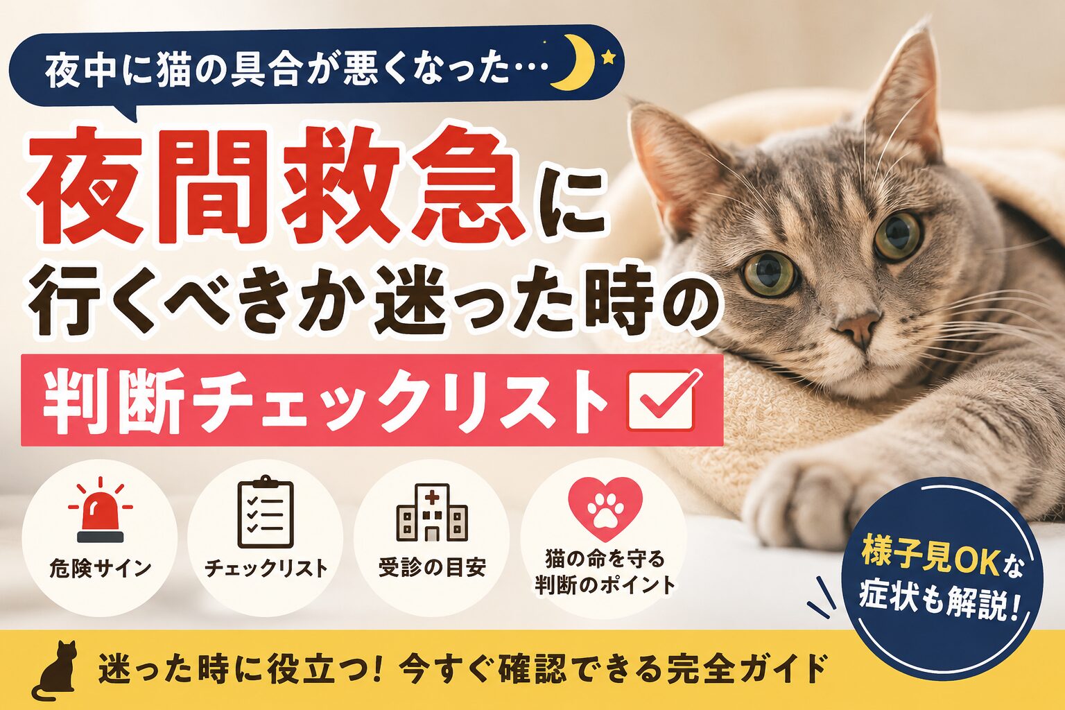 猫の夜間救急に行くべきか迷った時の判断チェックリスト