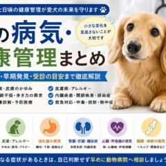 犬の病気・健康管理まとめ｜症状・予防・早期発見・動物病院の受診目安まで