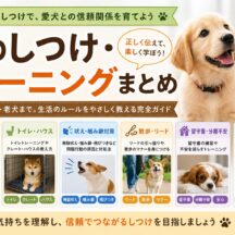 犬のしつけ・トレーニングまとめ｜子犬の社会化・無駄吠え・噛み癖・散歩・留守番まで