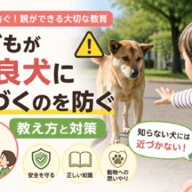 子どもが野良犬に近づくのを防ぐ教え方｜専門家が教える安全対策と動物福祉の視点
