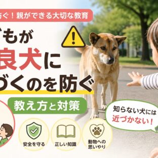 子どもが野良犬に近づくのを防ぐ教え方｜専門家が教える安全対策と動物福祉の視点