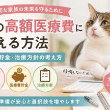 猫の高額医療費に備える方法｜保険・貯金・治療方針の考え方
