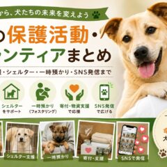 犬の保護活動・ボランティアまとめ｜保護犬支援・シェルター・一時預かり・SNS発信まで