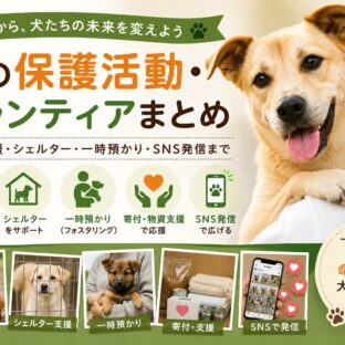 犬の保護活動・ボランティアまとめ｜保護犬支援・シェルター・一時預かり・SNS発信まで