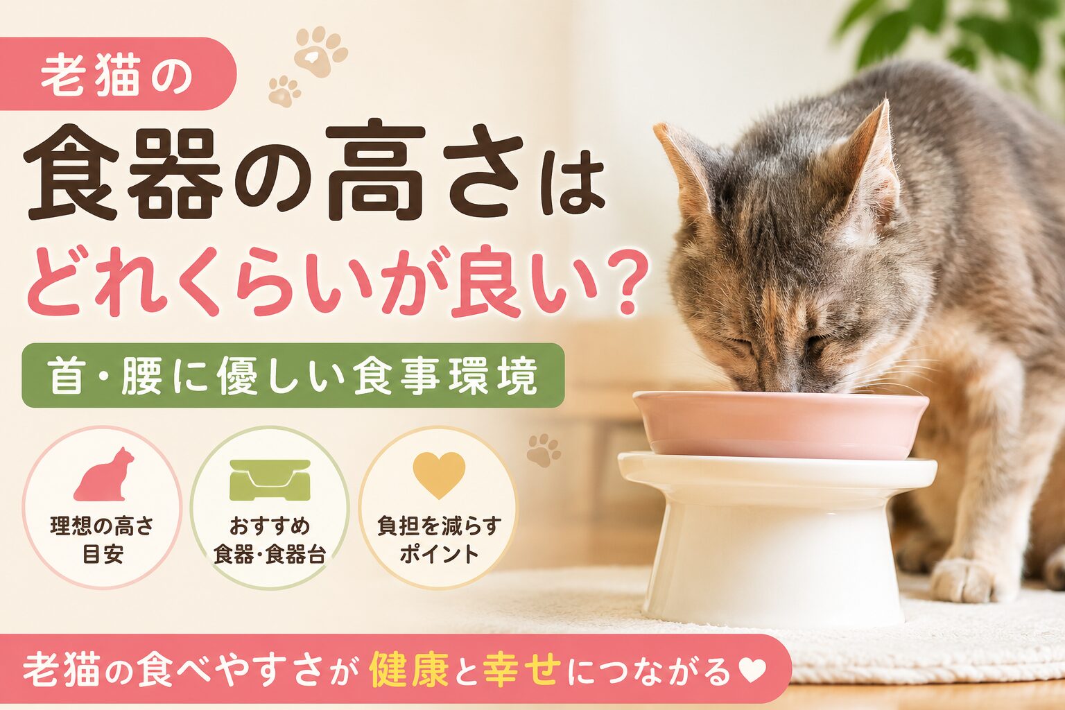 老猫の食器の高さはどれくらいが良い?