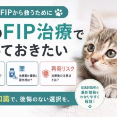 猫のFIP治療で知っておきたい検査・薬・再発リスク｜獣医師も認める最新情報を徹底解説