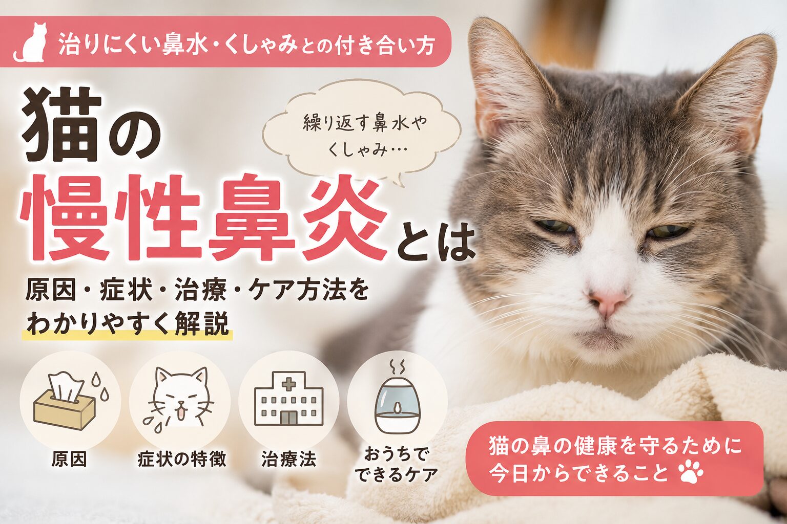 猫の慢性鼻炎とは
