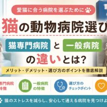 猫の動物病院選び｜猫専門病院と一般病院の違いを徹底解説