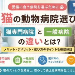 猫の動物病院選び｜猫専門病院と一般病院の違いを徹底解説