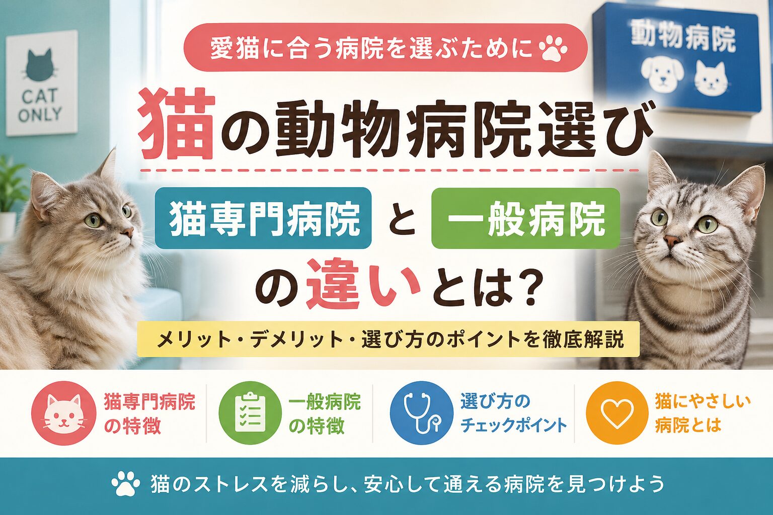 猫の動物病院選び