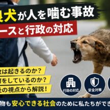 野良犬が人を噛む事故はなぜ起きる？行政の対応と動物福祉の本質的な課題