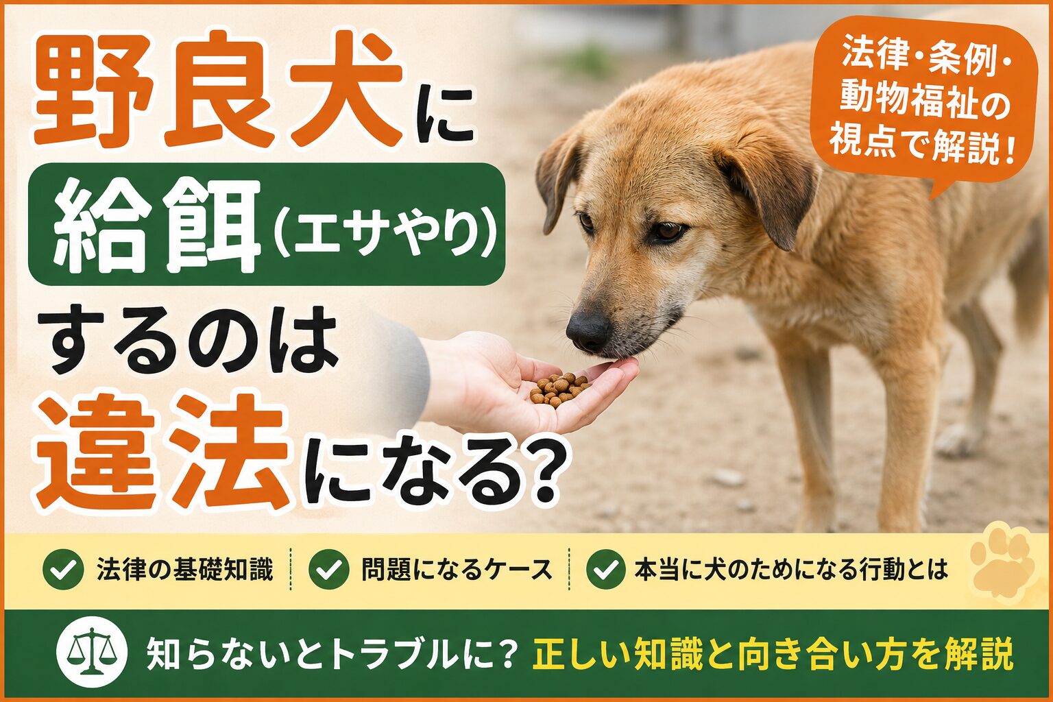野良犬への給餌（エサやり）は違法になるか