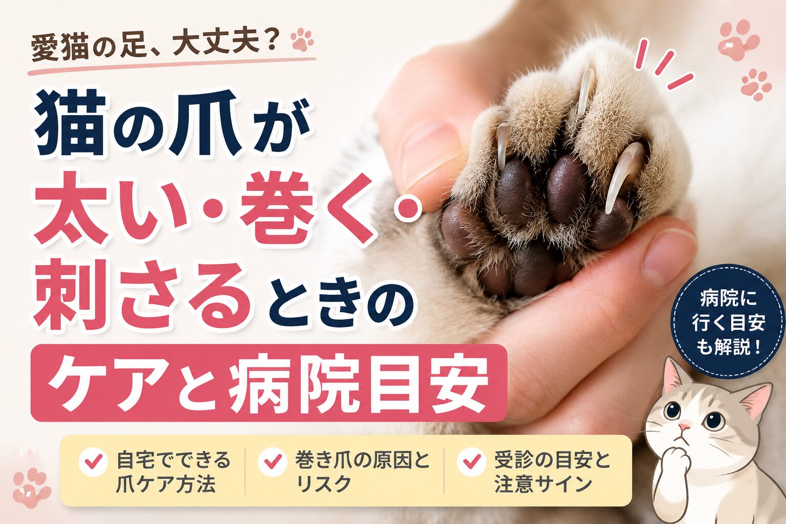 猫の爪が太い・巻く・刺さるときのケアと病院の目安