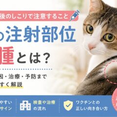 猫の注射部位肉腫とは｜ワクチン後のしこりで注意すること