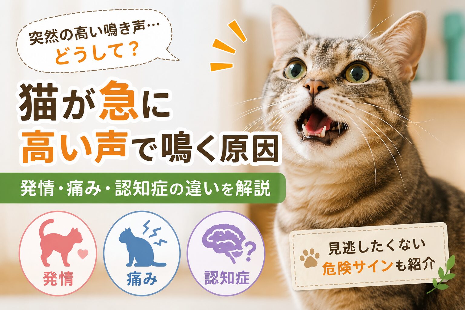 猫が急に高い声で鳴く原因