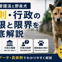 動物愛護法と野良犬の現実｜罰則・行政の権限と限界を徹底解説