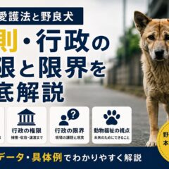 動物愛護法と野良犬の現実｜罰則・行政の権限と限界を徹底解説