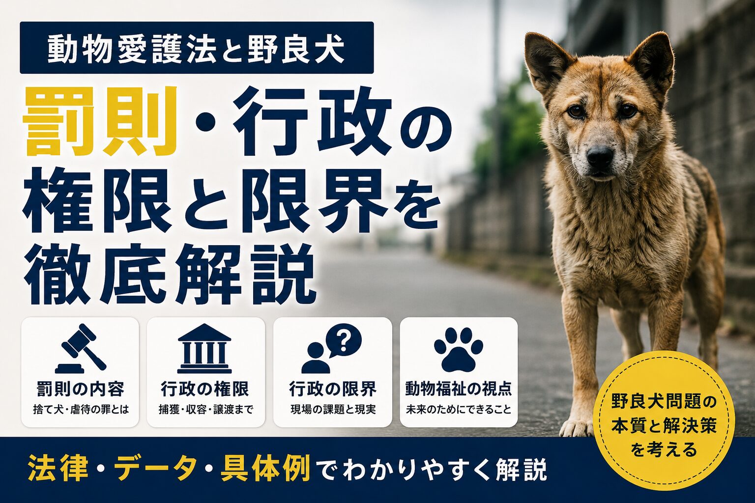 動物愛護法と野良犬の現実
