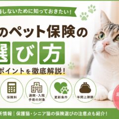 猫のペット保険の選び方｜動物福祉の視点から徹底解説【2026年版】