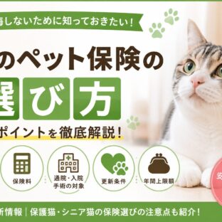 猫のペット保険の選び方｜動物福祉の視点から徹底解説【2026年版】