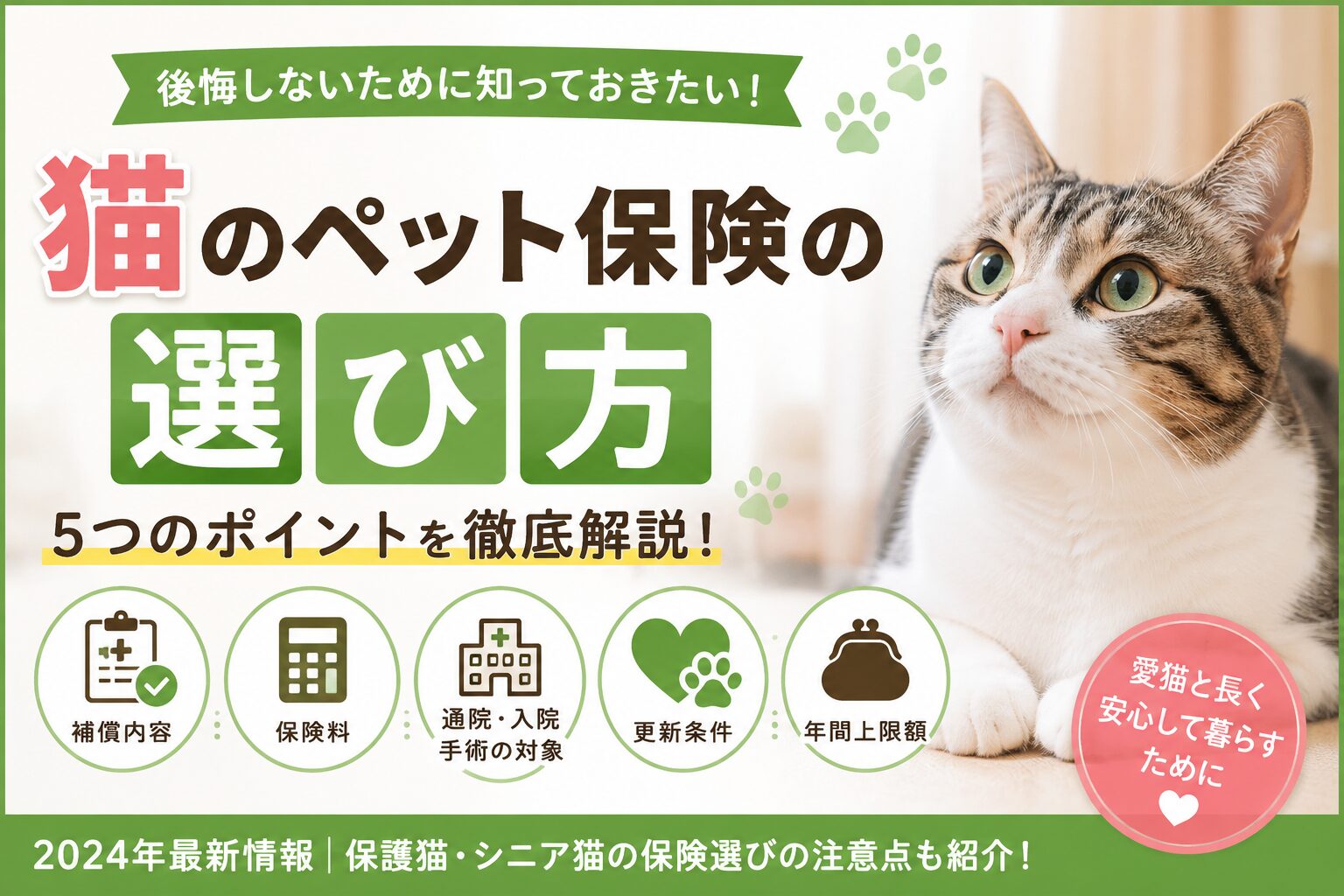 猫のペット保険の選び方