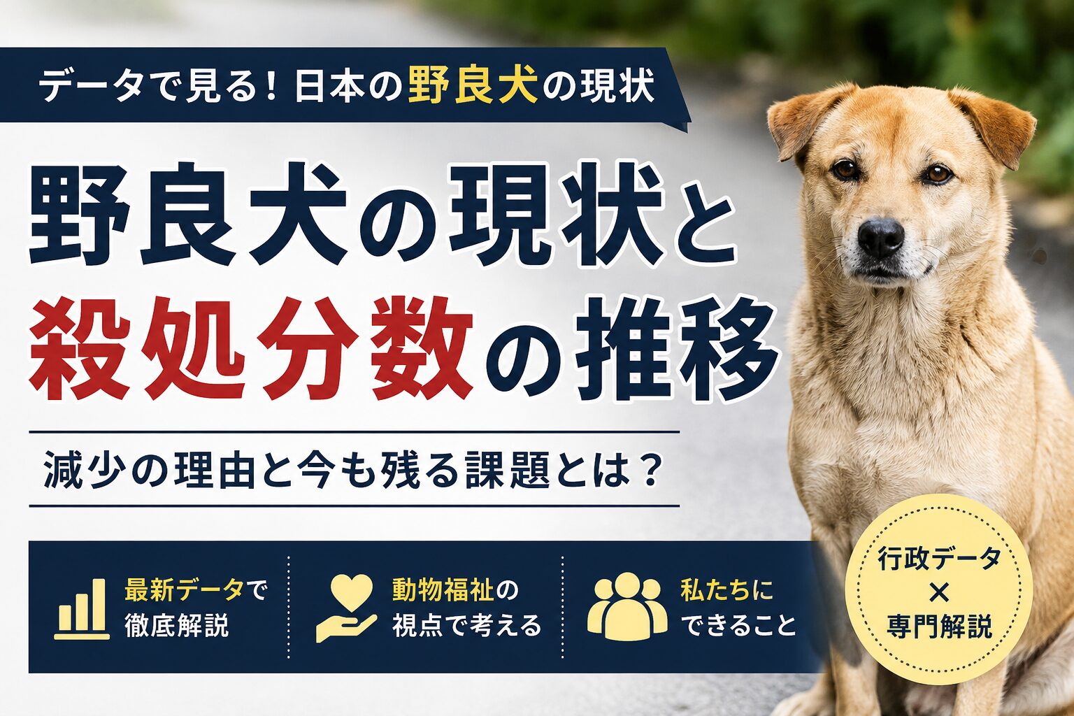 日本の野良犬の現状と殺処分数の推移