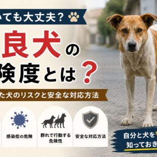 野良犬に近づいても大丈夫？野生化した犬の危険度と正しい対処法を専門家が解説