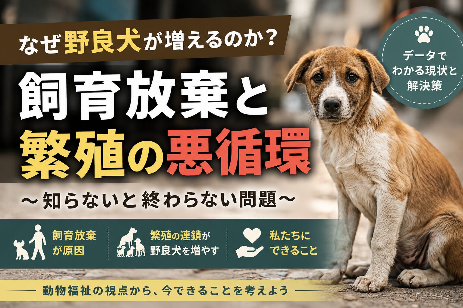 なぜ野良犬が増えるのか