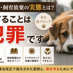 捨て犬・飼育放棄の実態と罰則｜動物愛護法の改正で何が変わったのか【2026年最新】
