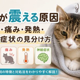 猫が震える原因｜寒さ・痛み・発熱・神経症状の見分け方【獣医師監修レベルの解説】
