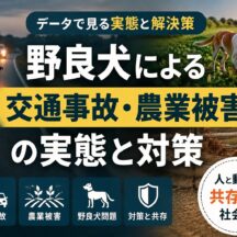 野良犬による交通事故・農業被害の実態と対策｜命と暮らしを守るために今できること