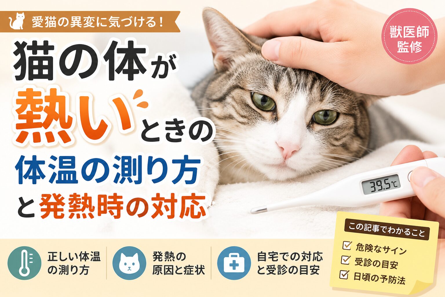 猫の体が熱いときの体温の測り方と発熱時の対応
