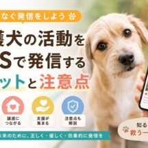 保護犬の活動をSNSで発信するメリットと注意点｜動物福祉の輪を広げるための実践ガイド