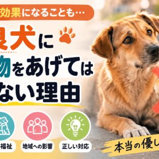 野良犬に食べ物をあげてはいけない理由と問題点｜動物福祉の観点から徹底解説