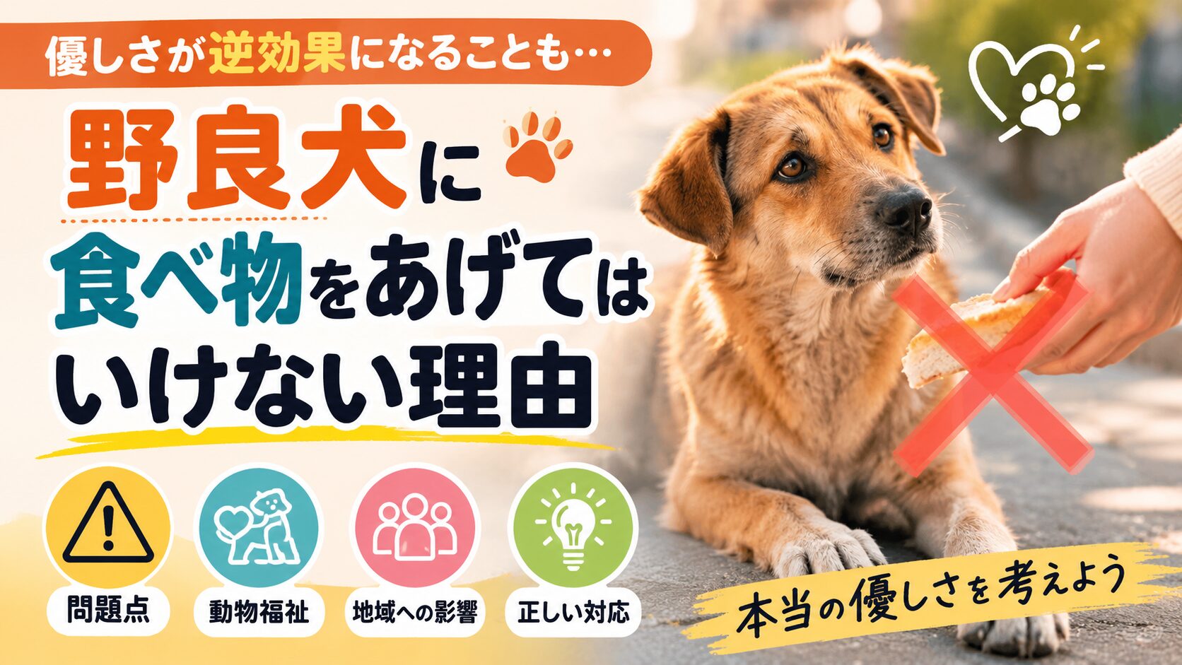 野良犬に食べ物をあげてはいけない理由と問題点