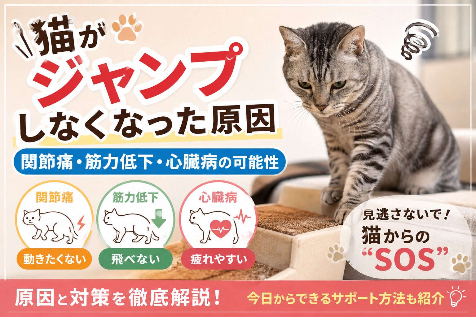 猫がジャンプしなくなった原因