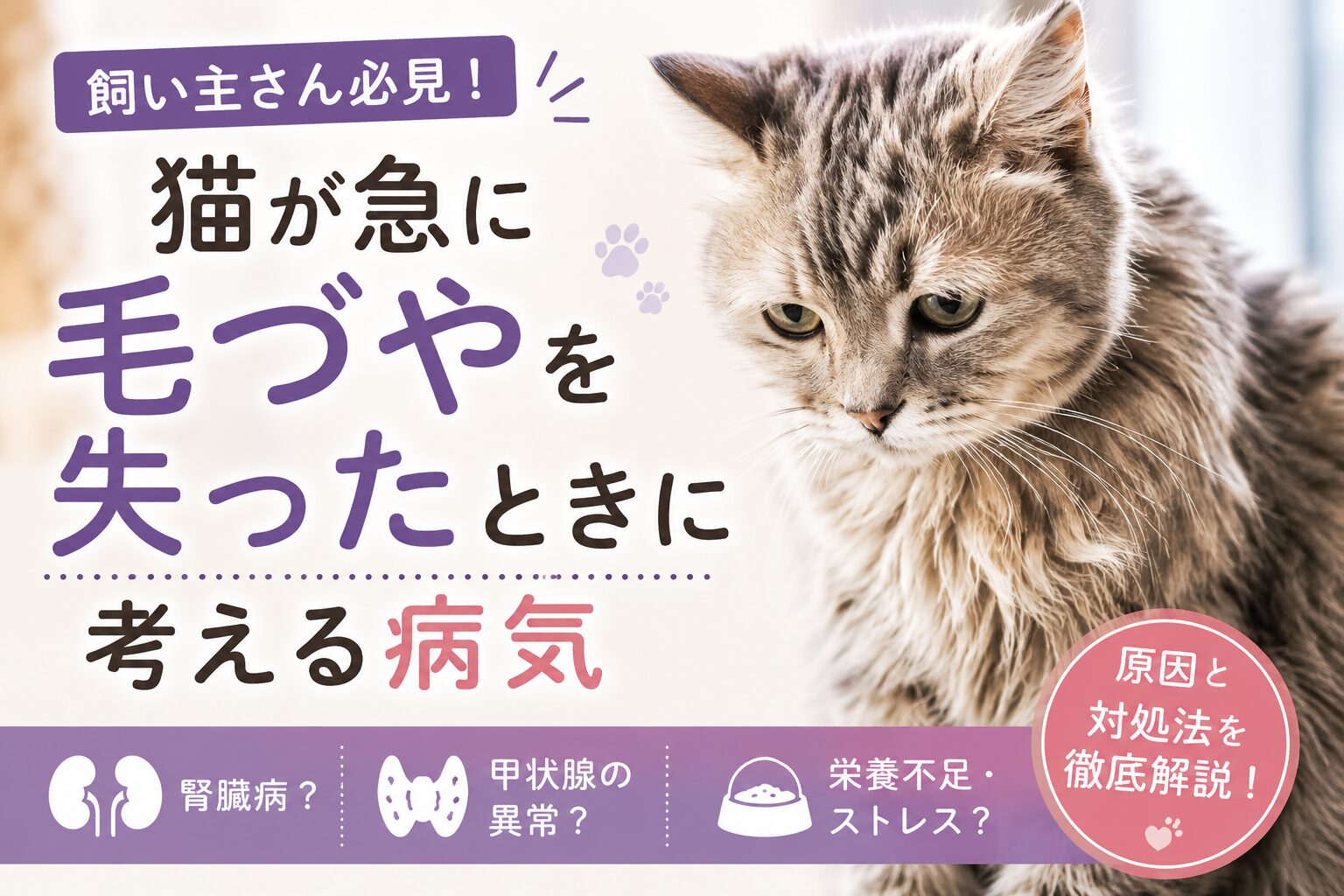 猫が急に毛づやを失ったときに考える病気