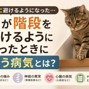 猫が階段を避けるようになったときに疑う病気｜獣医師監修・症状別チェックリスト付き
