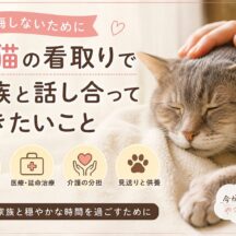 老猫の看取りで家族と話し合っておきたいこと｜後悔しないための準備ガイド