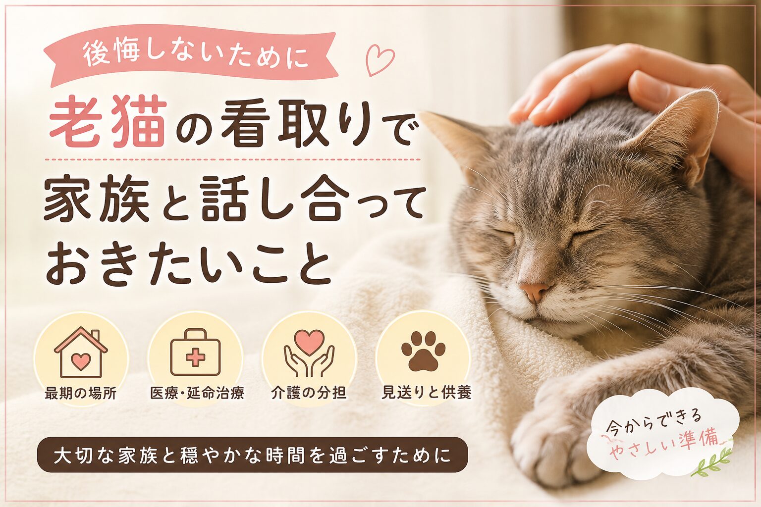 老猫の看取りで家族と話し合っておきたいこと
