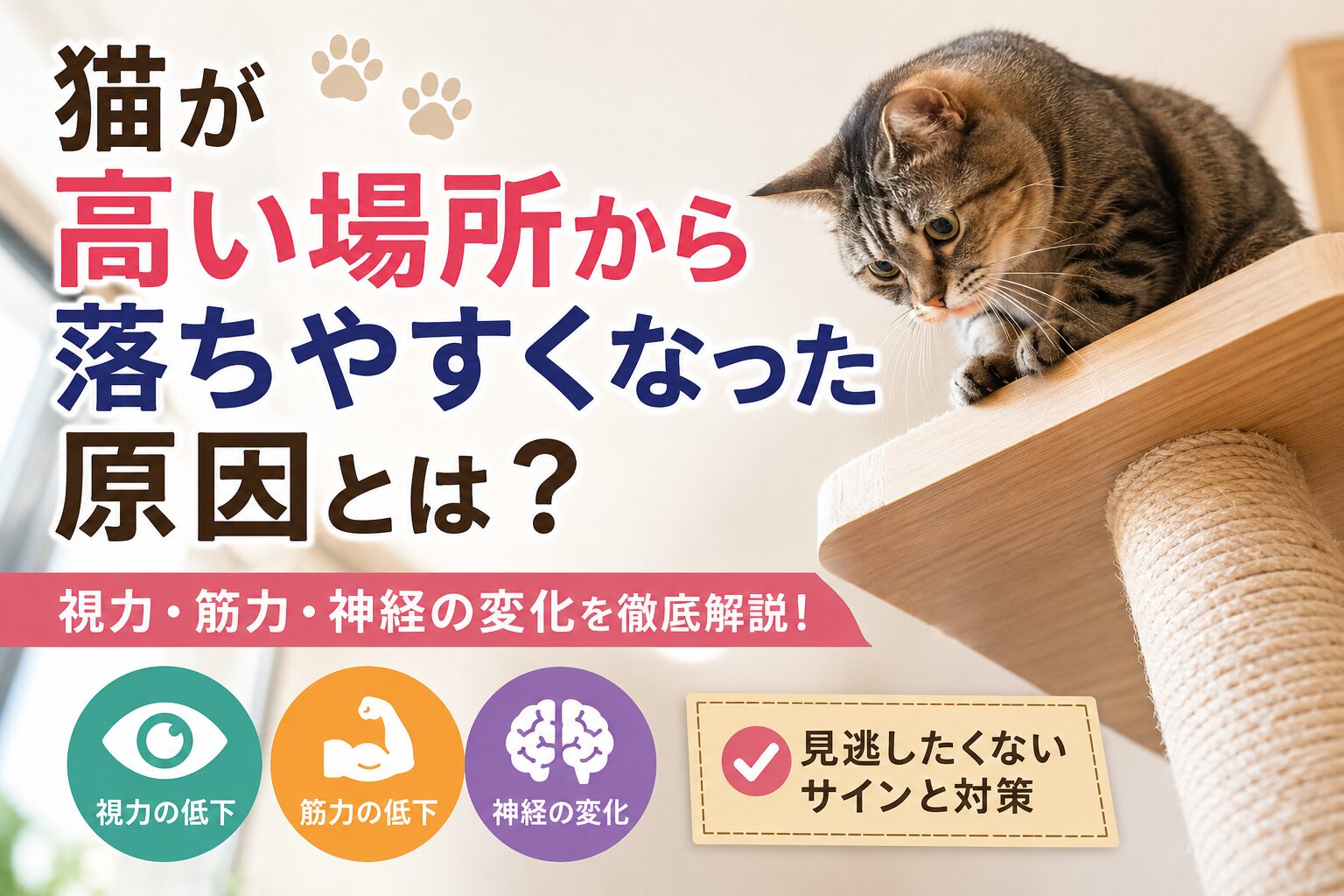 猫が高い場所から落ちやすくなった原因