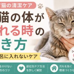 老猫の体が汚れる時の拭き方｜お風呂に入れないケア完全ガイド