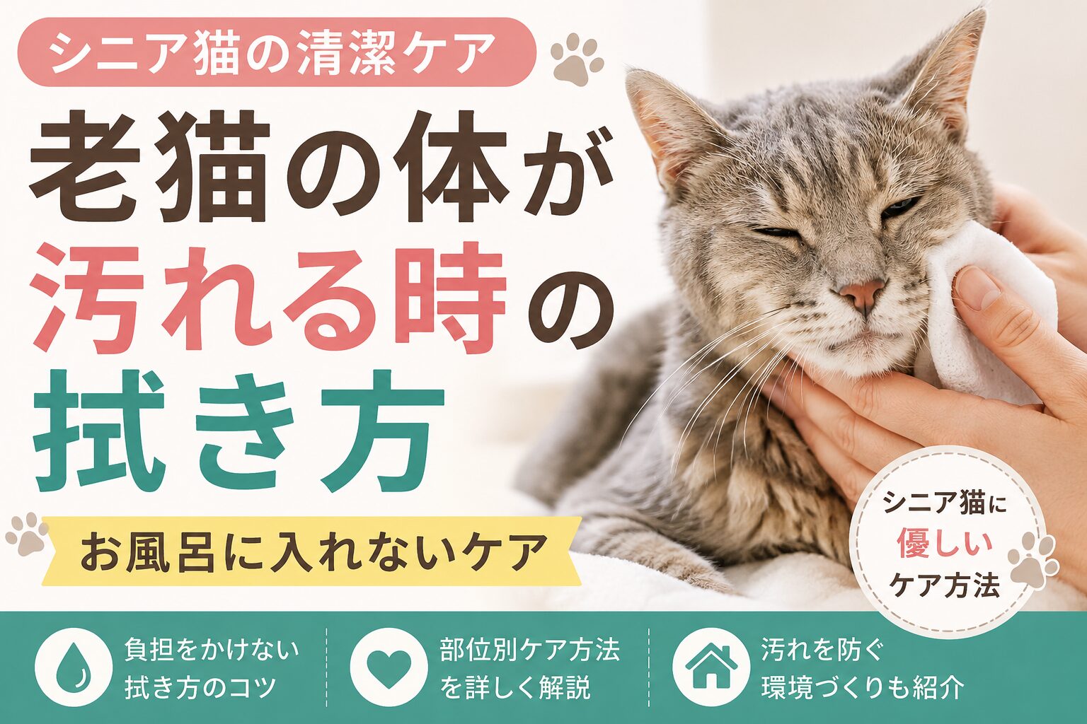 老猫の体が汚れる時の拭き方