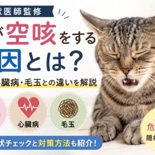 猫が空咳をする原因｜喘息・心臓病・毛玉との違いを獣医師監修で解説