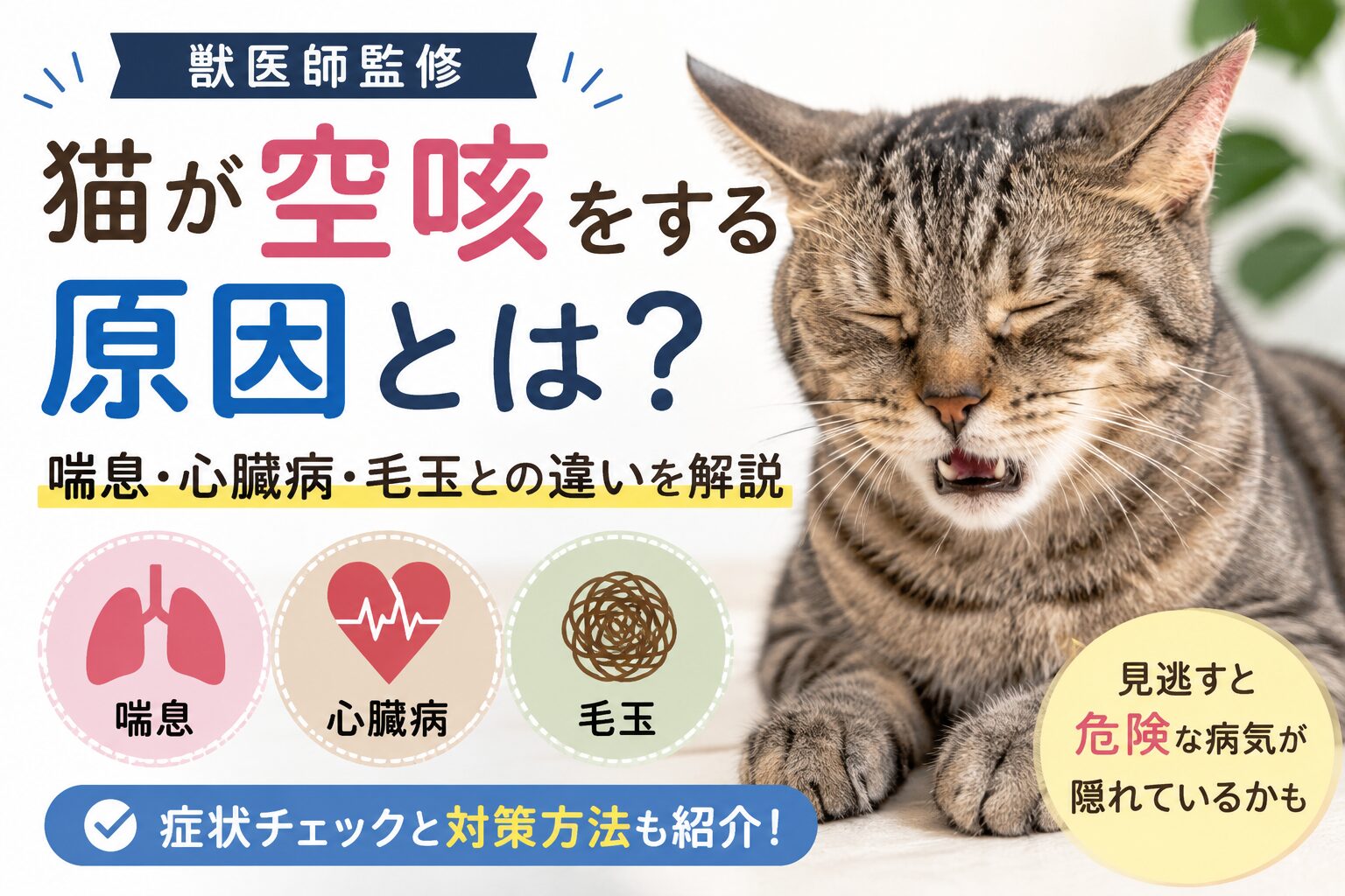 猫が空咳をする原因