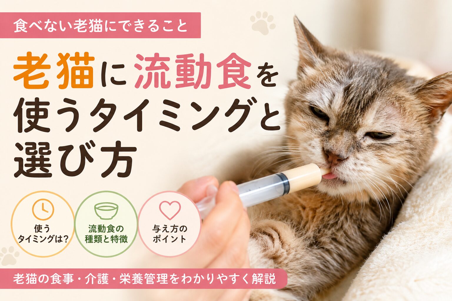 老猫に流動食を使うタイミングと選び方