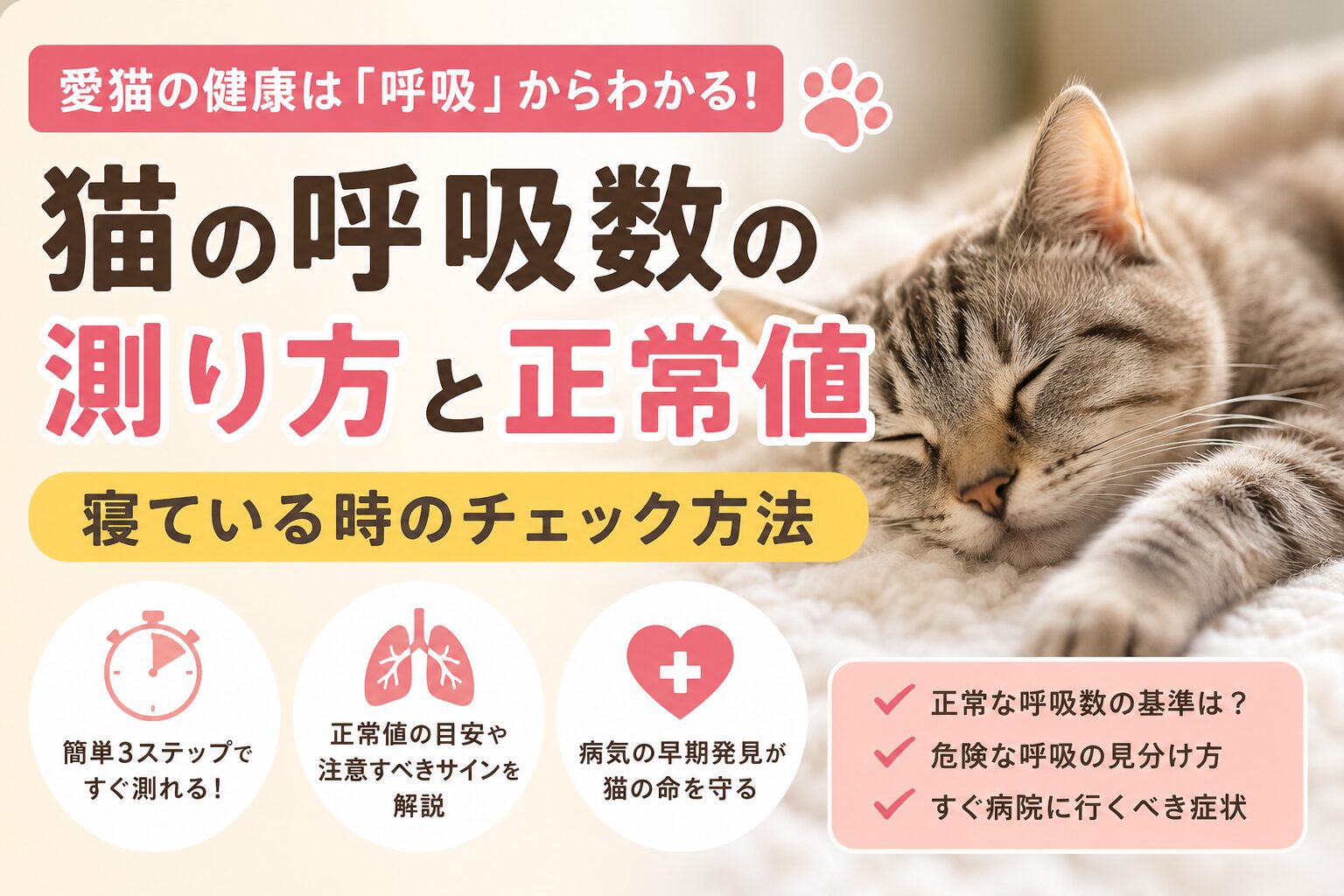 猫の呼吸数の測り方と正常値