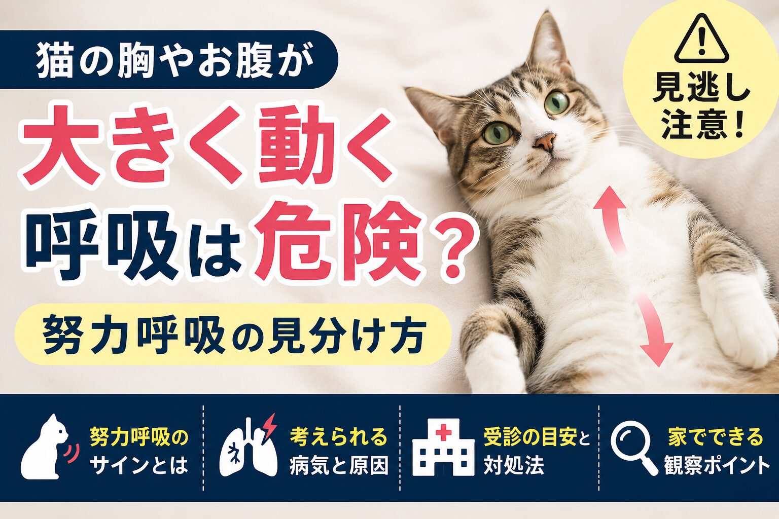 猫の胸やお腹が大きく動く呼吸は危険?