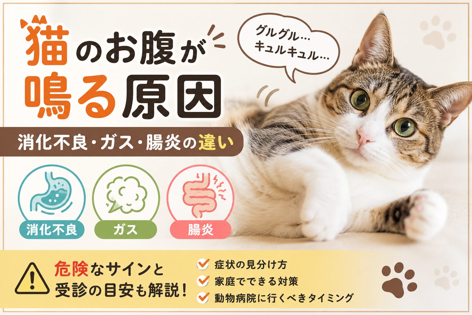 猫のお腹が鳴る原因